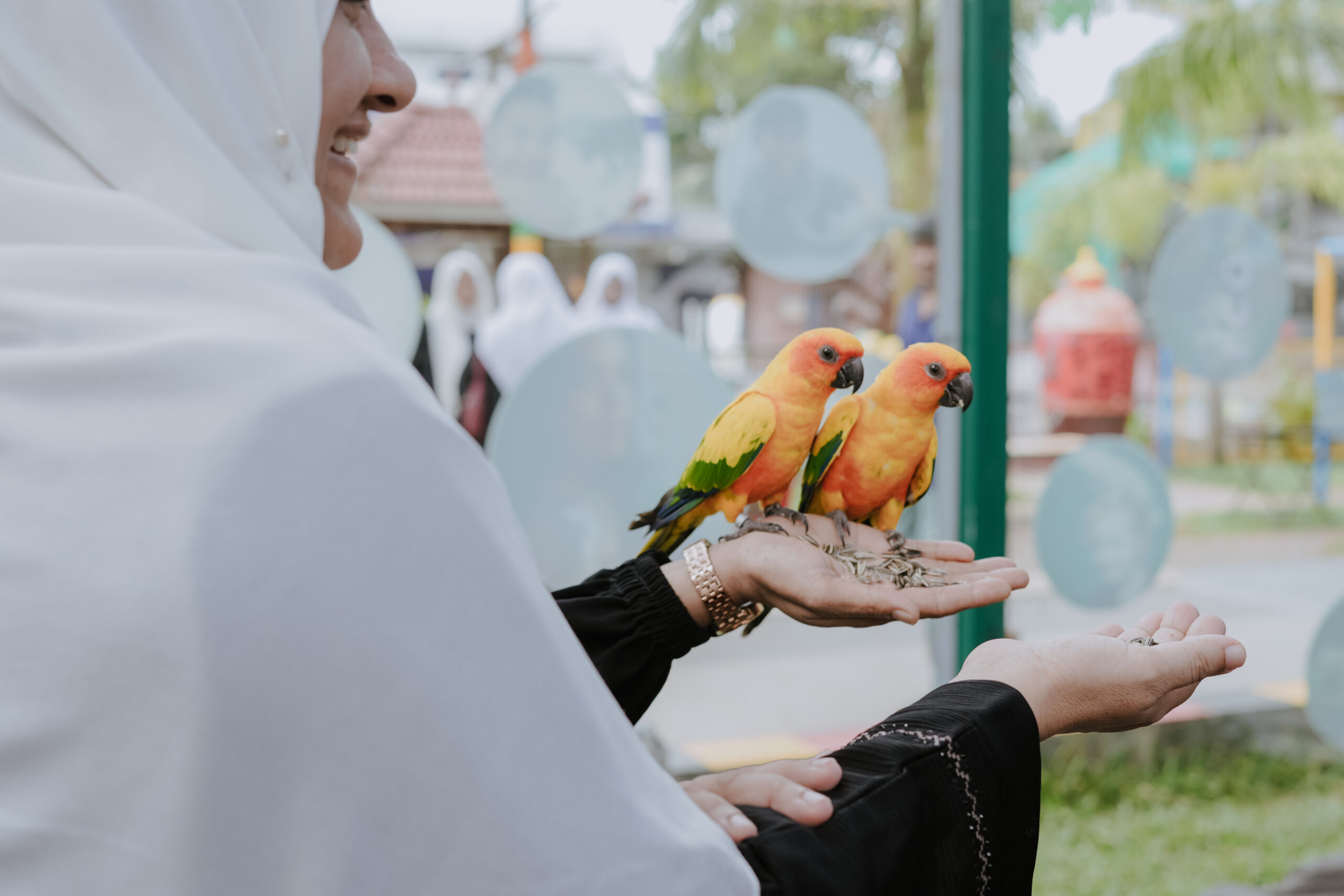 Family feeding colourful parrots at Arco Park ’N’ Resort, Kasaragod
